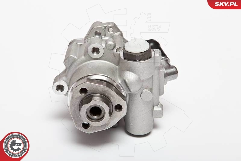 Hydraulic Pump, steering 10SKV018