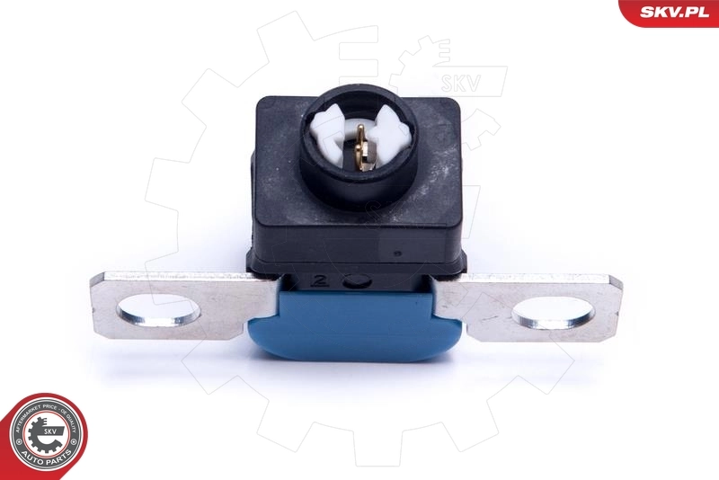 ESEN SKV 96SKV317 Overvoltage Protector, alternator