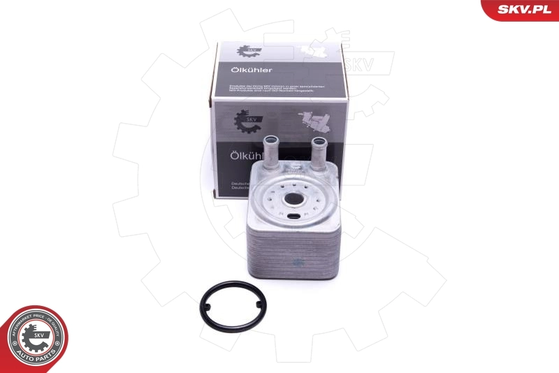 Oil Cooler, engine oil 31SKV208