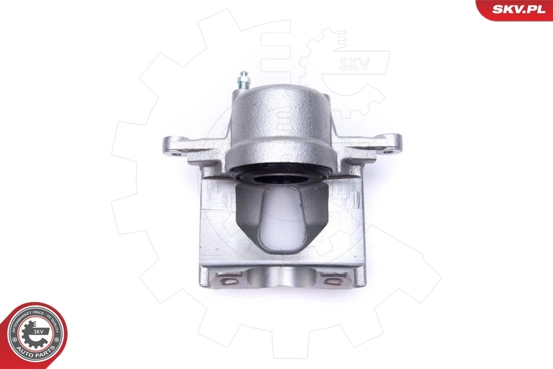 Brake Caliper 50SKV132