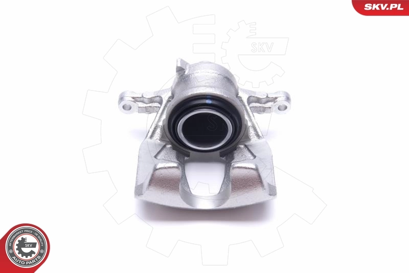 Brake Caliper 55SKV672