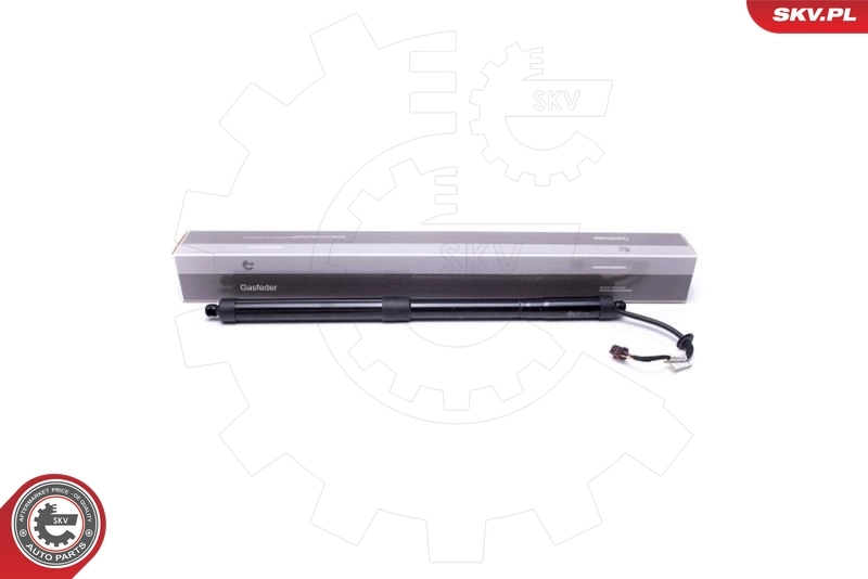 Electric Motor, tailgate 52SKV919