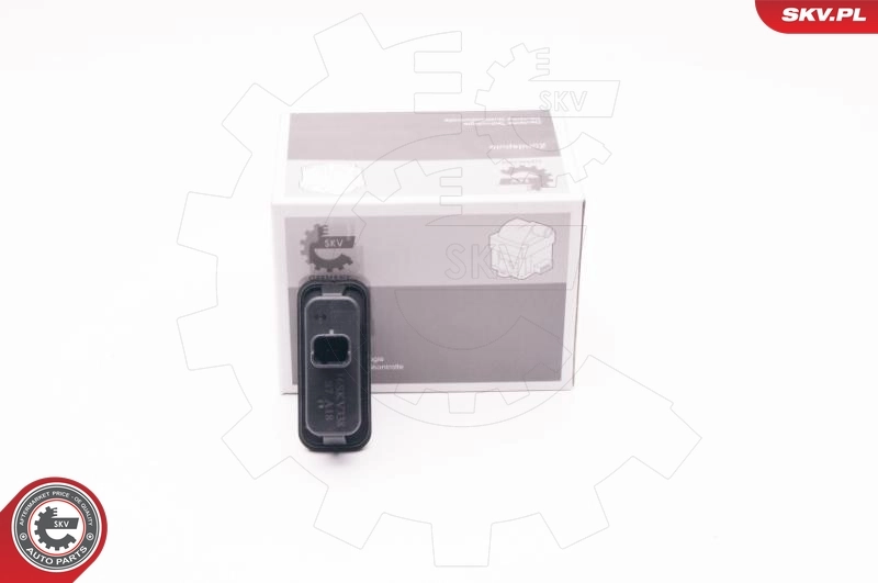 Switch, door lock system 16SKV338