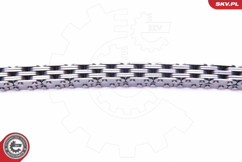 Timing Chain Kit 21SKV133