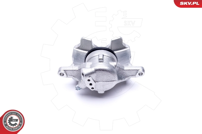 Brake Caliper 46SKV002