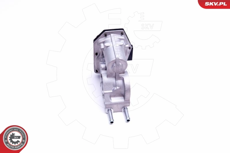 ESEN SKV 14SKV215 EGR Valve