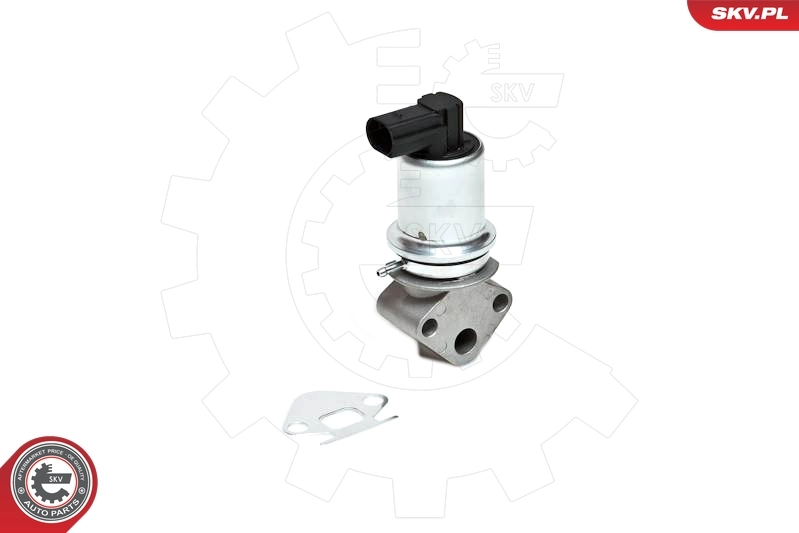 EGR Valve 14SKV007