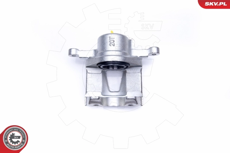 Brake Caliper 45SKV142