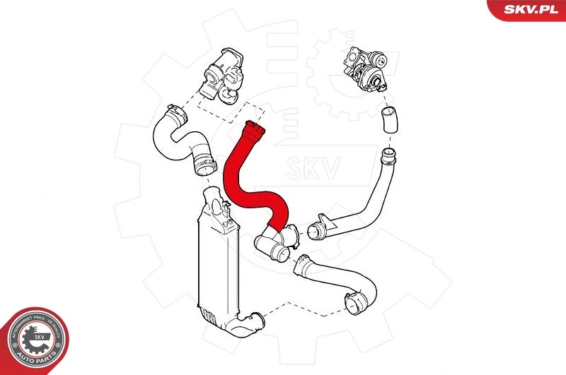 Charge Air Hose 43SKV022