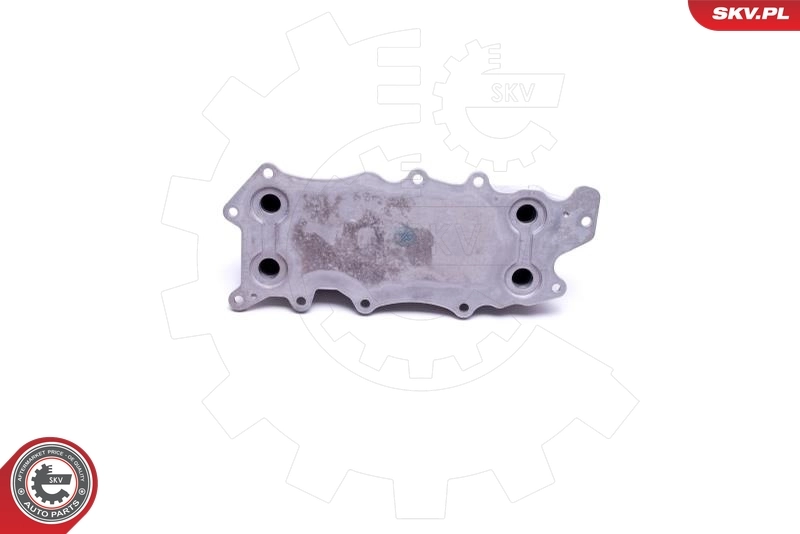 Oil Cooler, engine oil 31SKV217