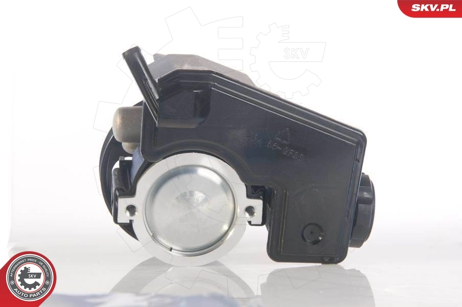 Hydraulic Pump, steering 10SKV171