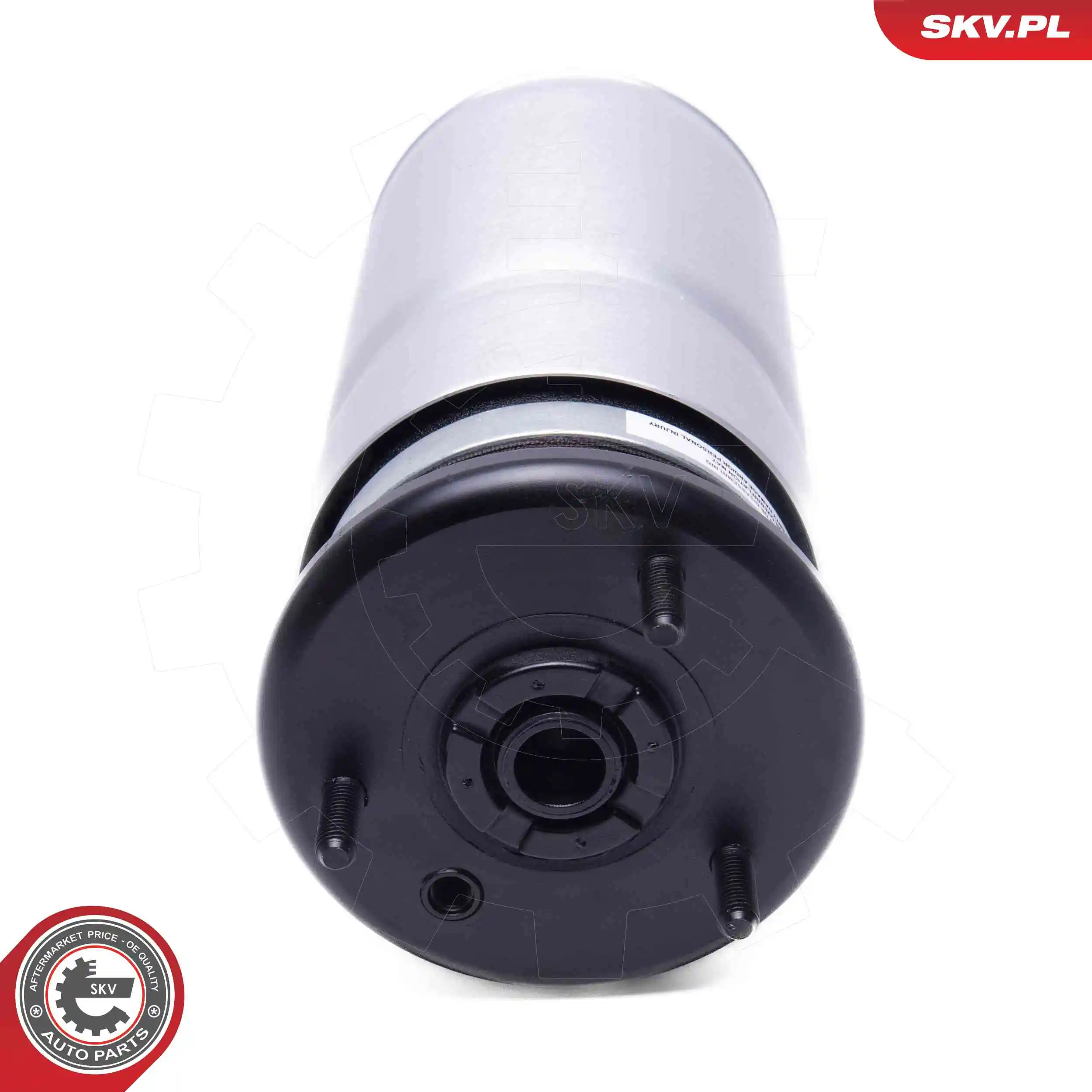 Air Spring, suspension 58SKV089