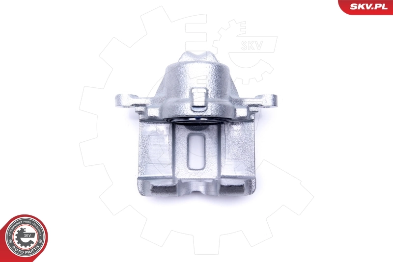 Brake Caliper 46SKV062