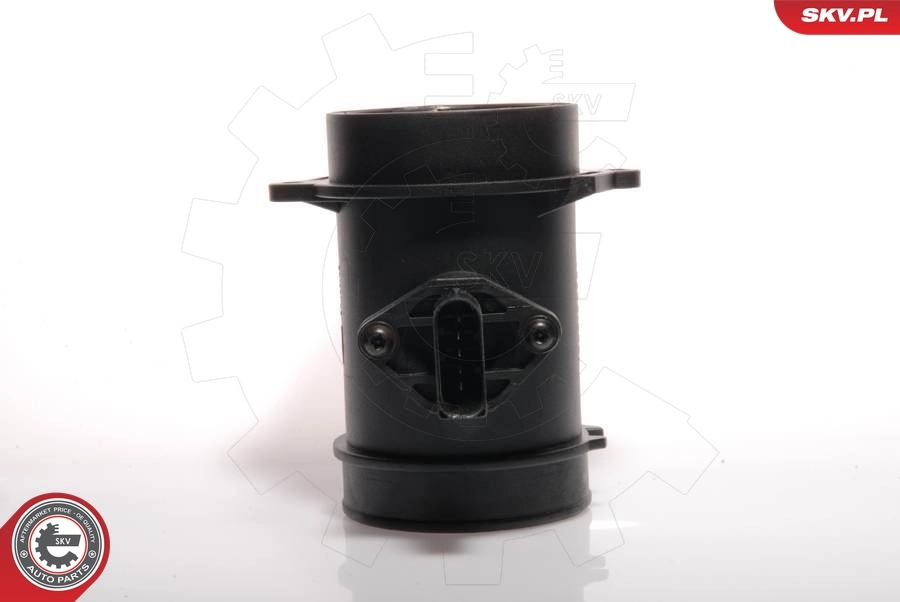 Mass Air Flow Sensor 07SKV027