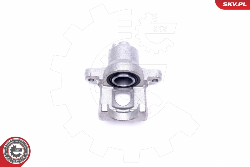 ESEN SKV 45SKV614 Brake Caliper