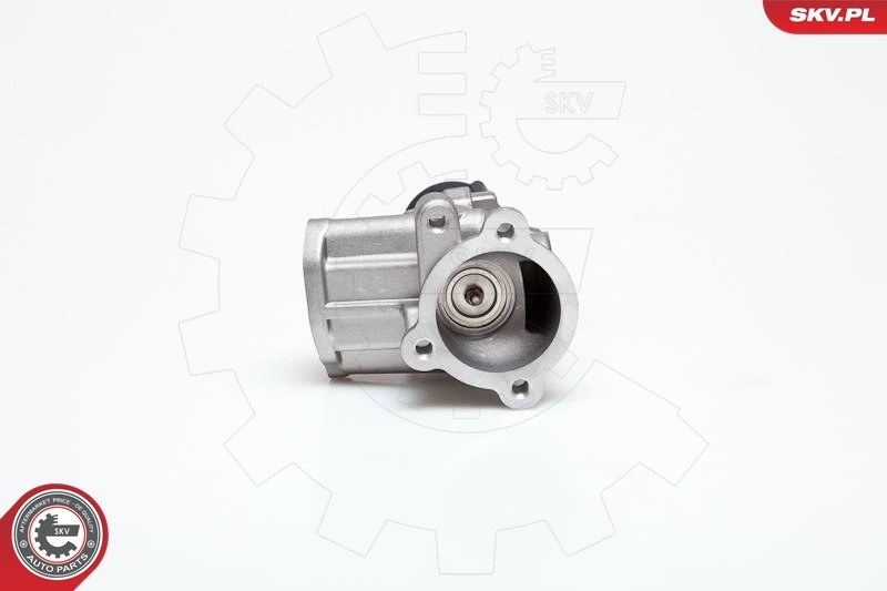EGR Valve 14SKV014
