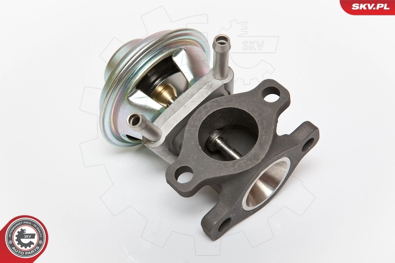 EGR Valve 14SKV062