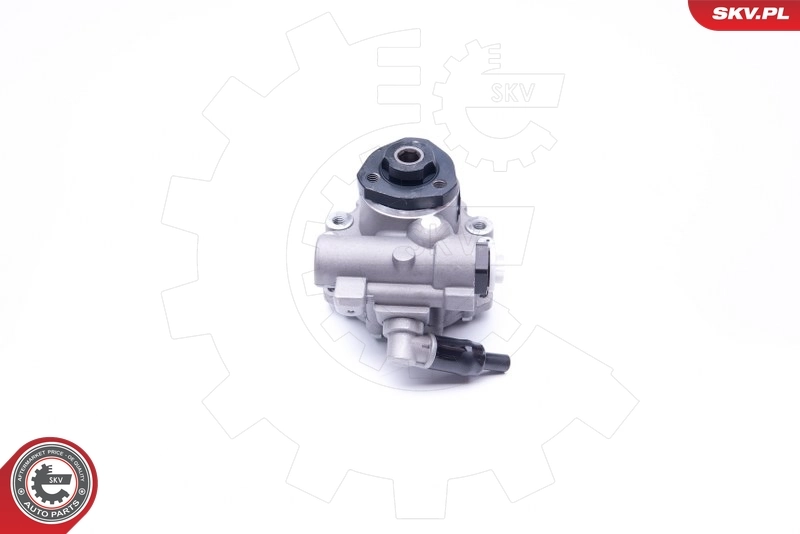 Hydraulic Pump, steering 10SKV172