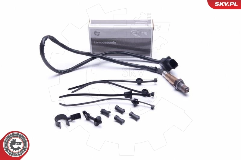 Oxygen Sensor 09SKV423