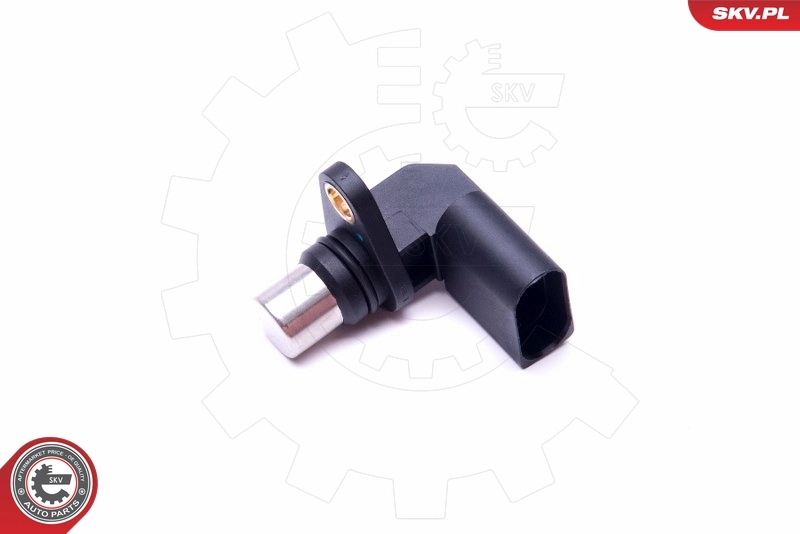 Sensor, camshaft position 17SKV489