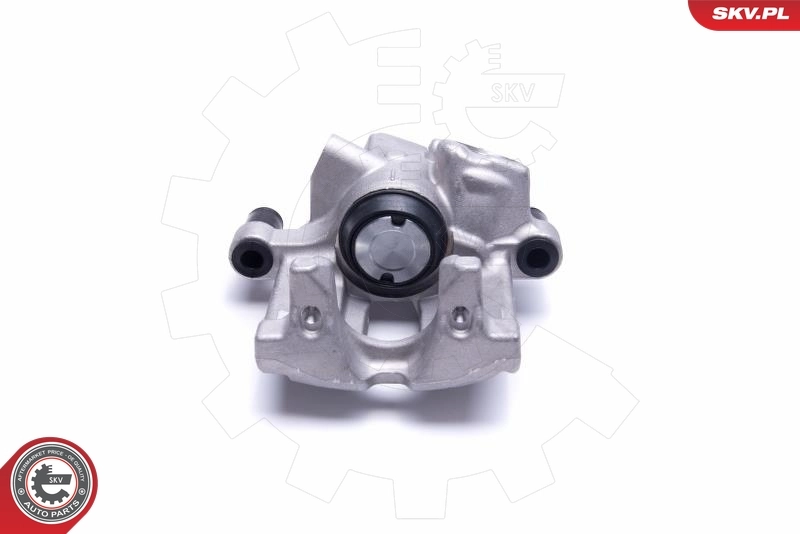 Brake Caliper 55SKV434