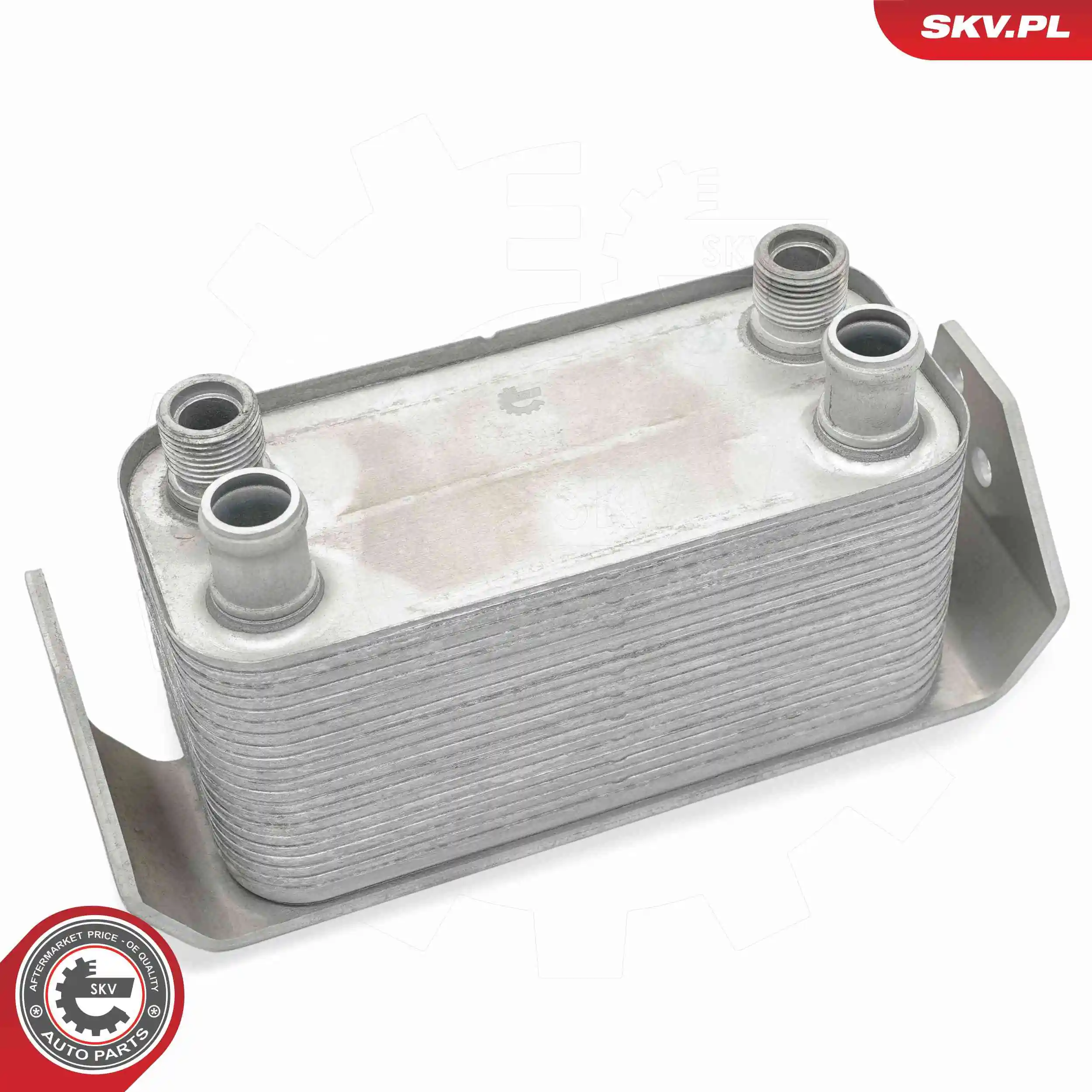 Oil Cooler, engine oil 31SKV347