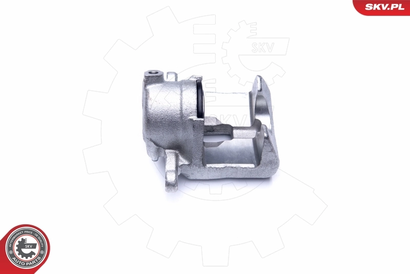 Brake Caliper 44SKV812
