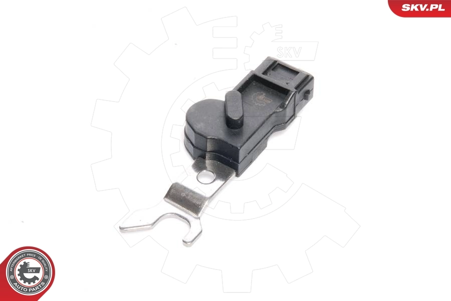 Sensor, camshaft position 17SKV218