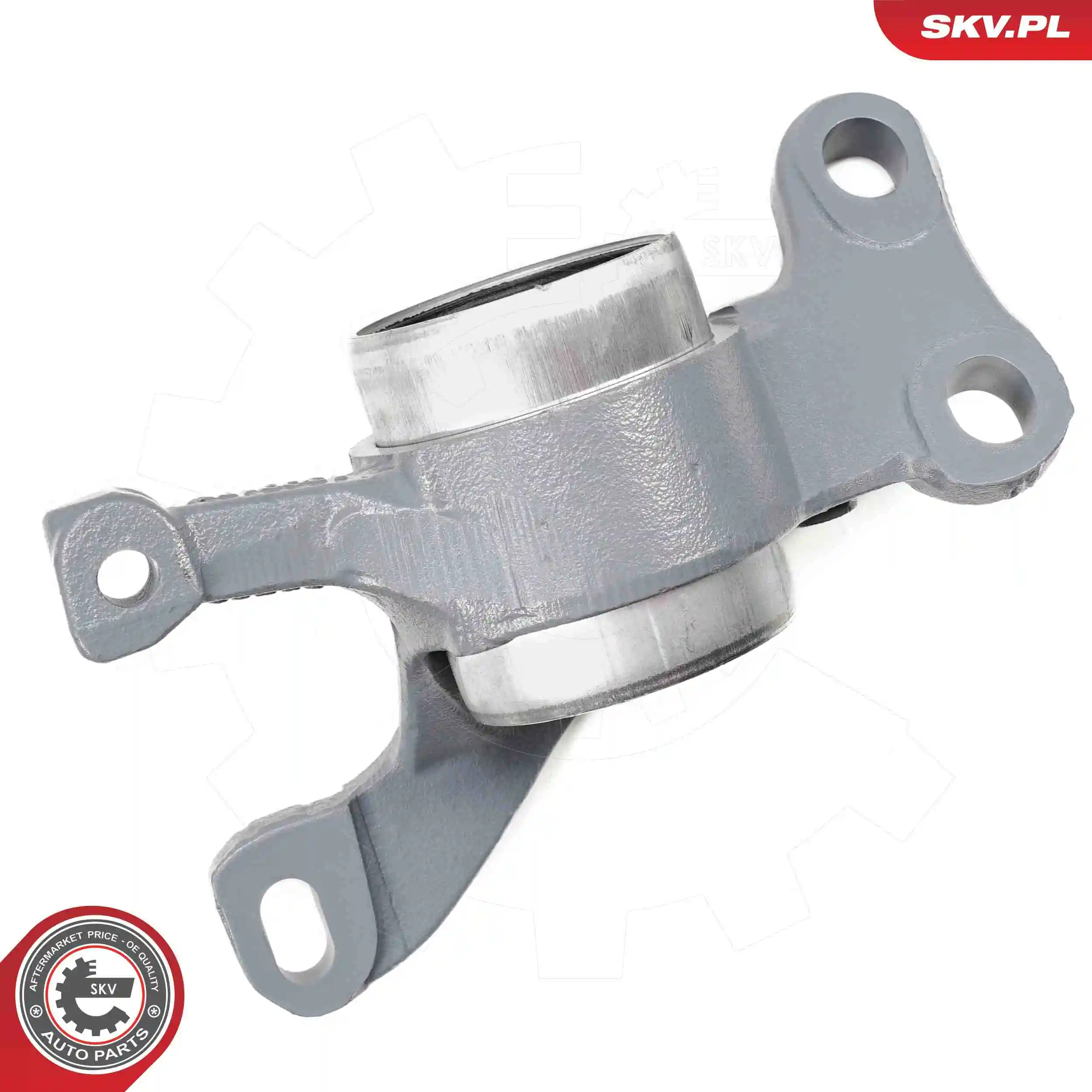 Mounting, control/trailing arm 69SKV565