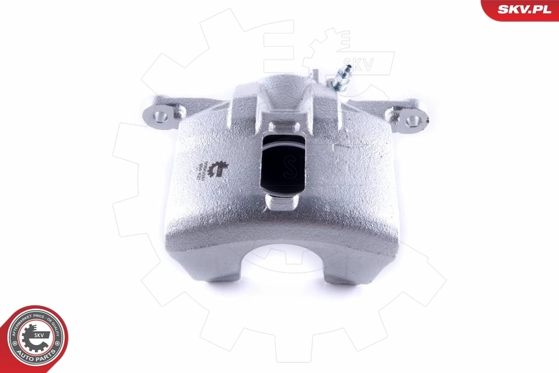 Brake Caliper 55SKV241