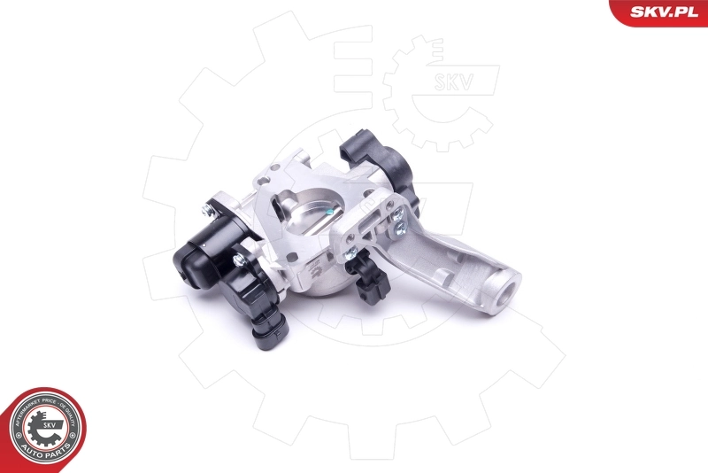 Throttle Body 12SKV083