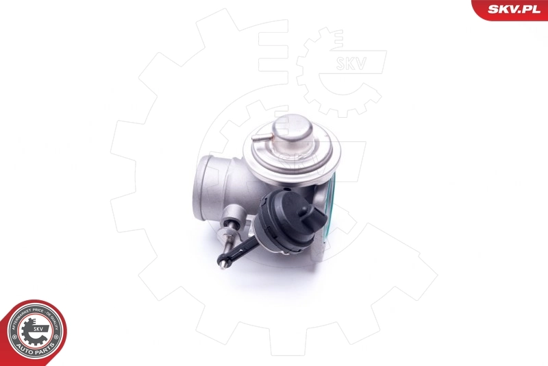 EGR Valve 14SKV107
