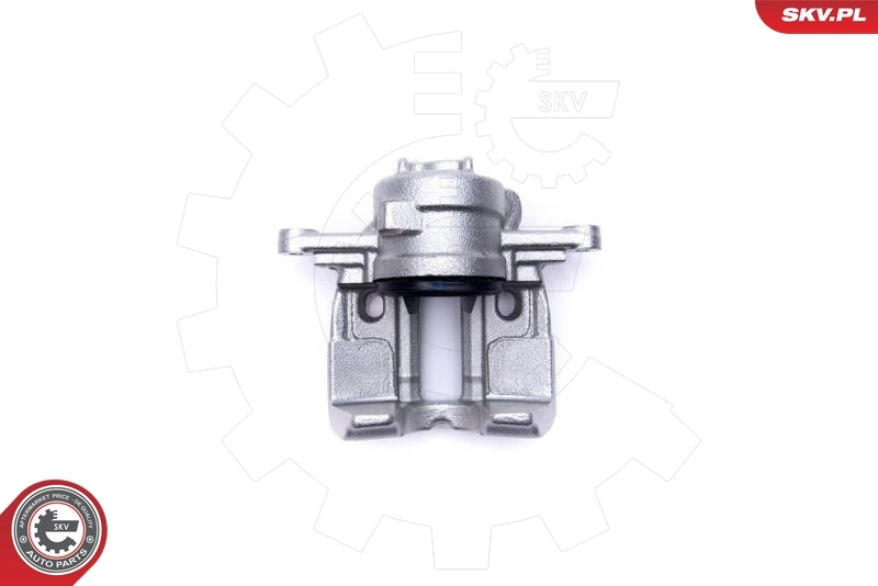 Brake Caliper 55SKV722