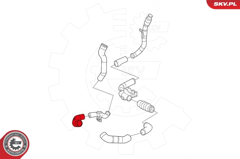 Charge Air Hose 24SKV747