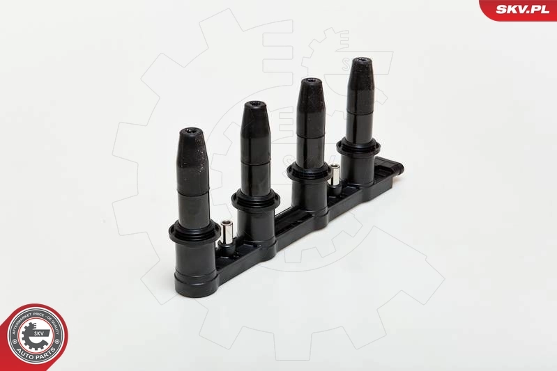 Ignition Coil 03SKV168