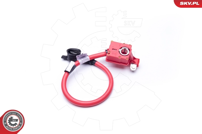 ESEN SKV 96SKV301 Battery Adapter