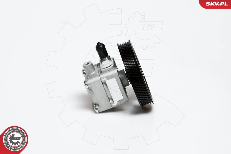 Hydraulic Pump, steering 10SKV176