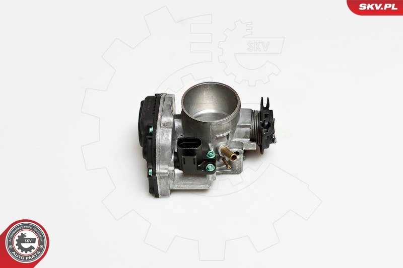 Throttle Body 12SKV034