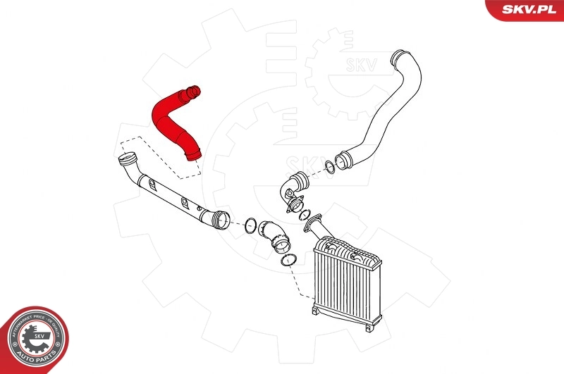 Charge Air Hose 24SKV748