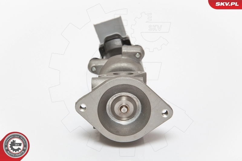 EGR Valve 14SKV073