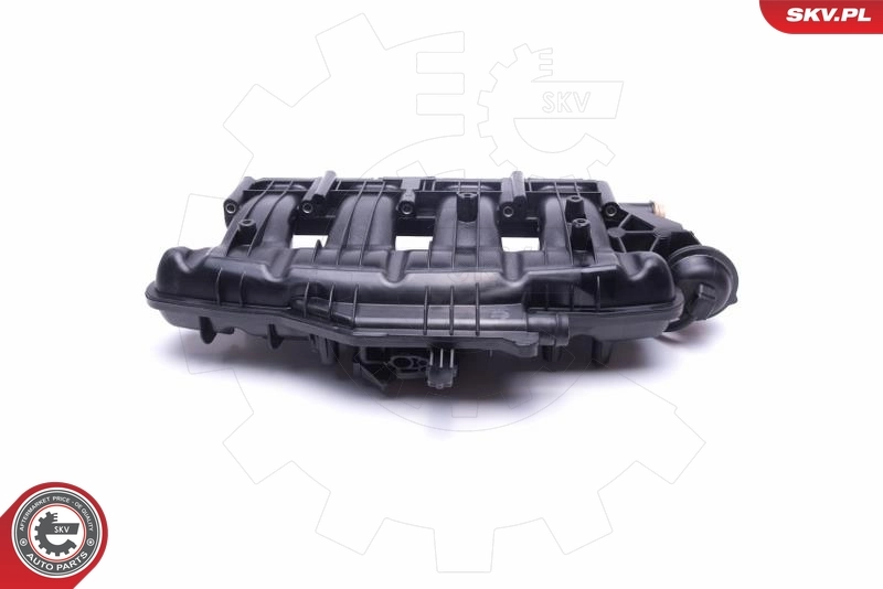 Intake Manifold Module 49SKV060
