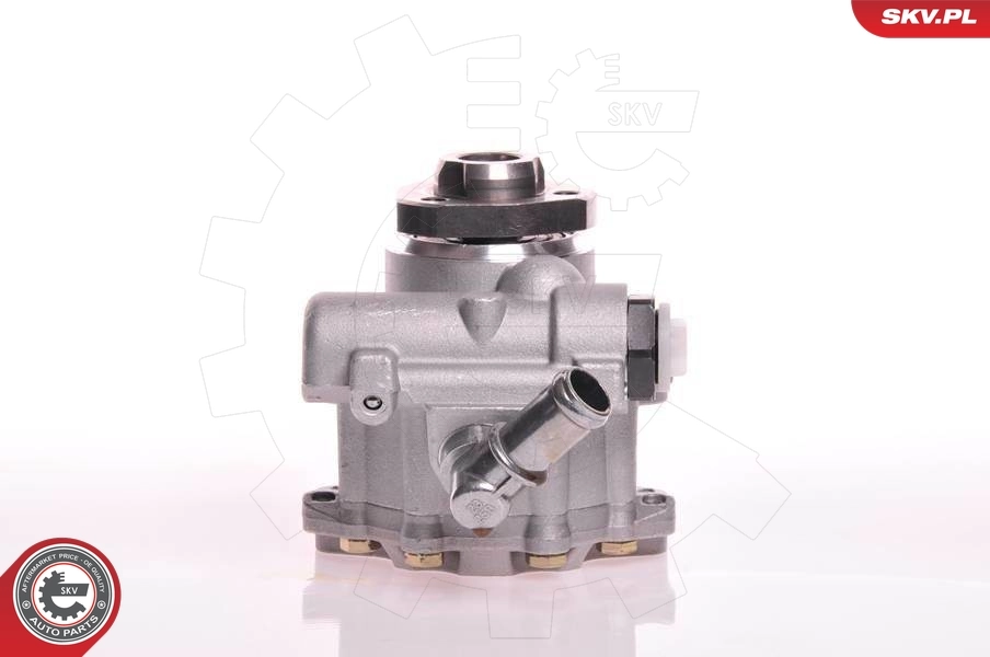 Hydraulic Pump, steering 10SKV105