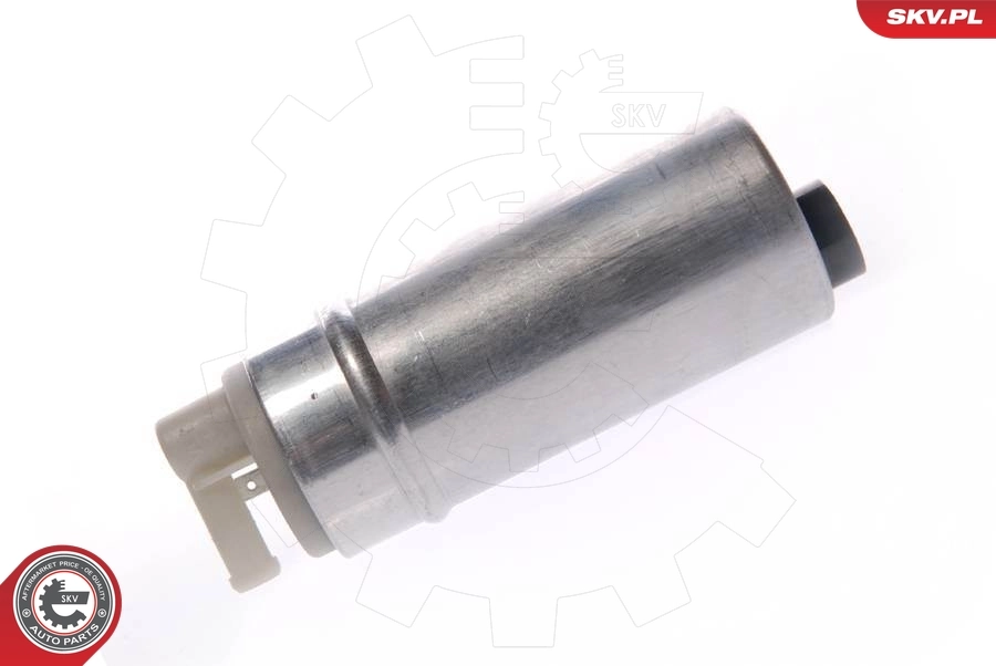 Fuel Pump 02SKV272