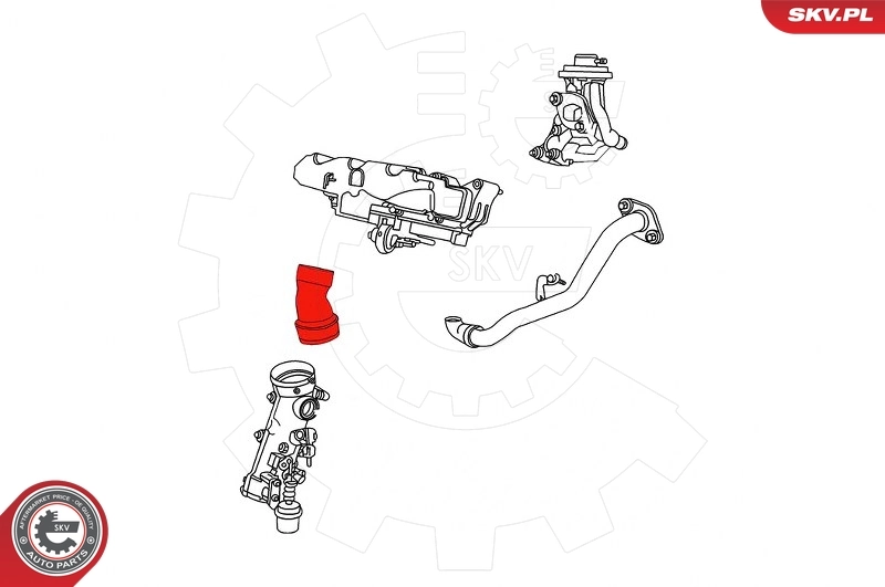 Charge Air Hose 43SKV166