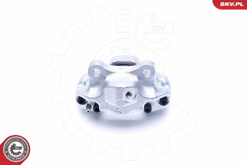 Brake Caliper 45SKV263