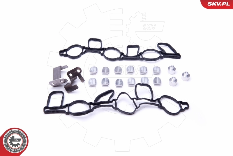 Repair Kit, intake manifold module 49SKV523