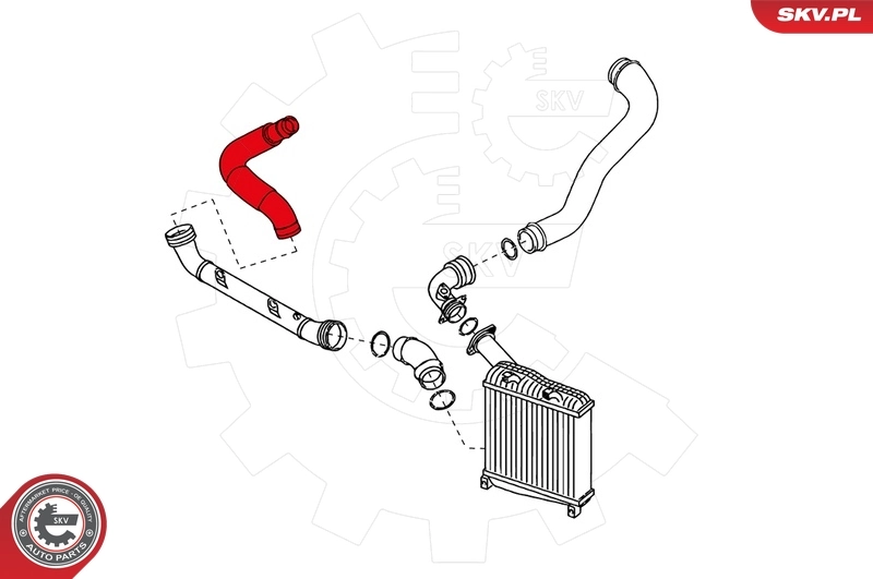 Charge Air Hose 24SKV194