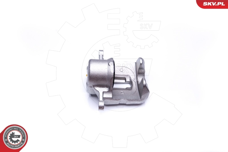 Brake Caliper 42SKV431