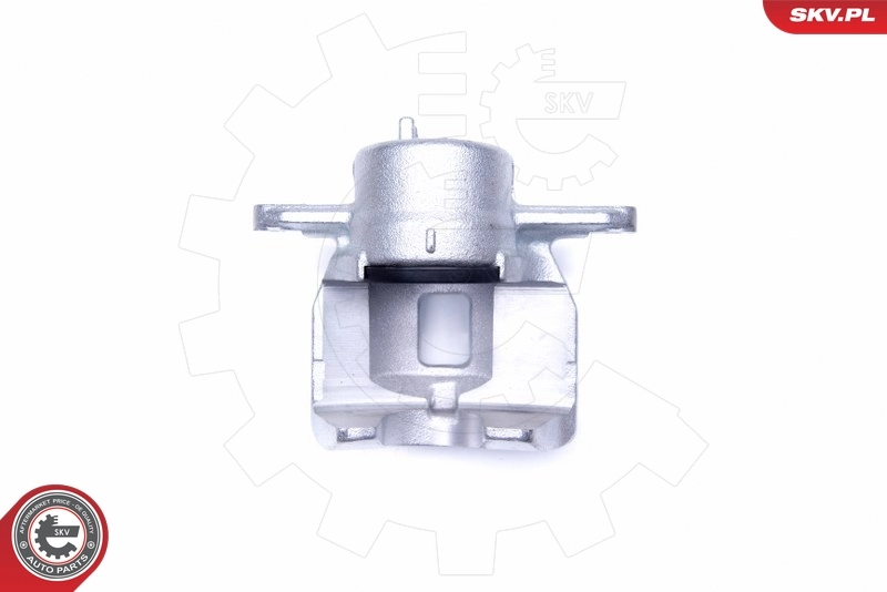Brake Caliper 44SKV152