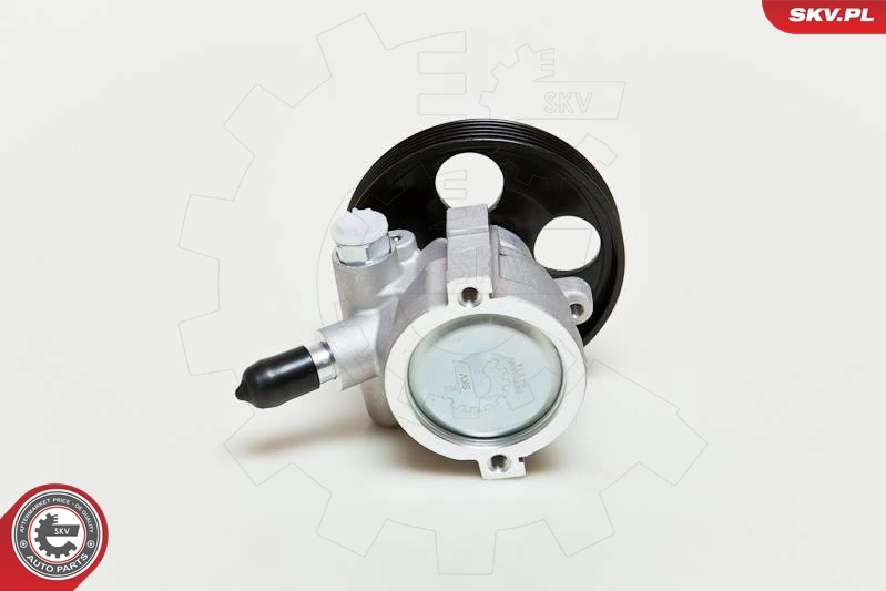 Hydraulic Pump, steering 10SKV057